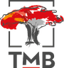 Trust Merchant Bank